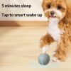 Silicone Rolling Ball Toy for Dogs product image