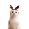 Dog and Cat Christmas Costume Cloak product image Dog and Cat Christmas Costume Cloak product image