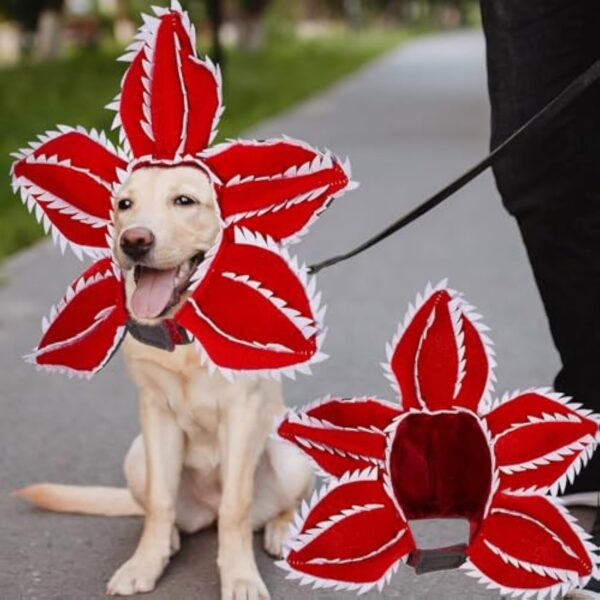 Halloween Dog Hat product image Halloween Dog Hat product image