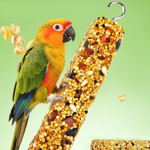 Parrot Chew & Treat Stick product image