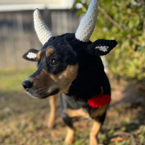 Halloween Hat for Dogs product image