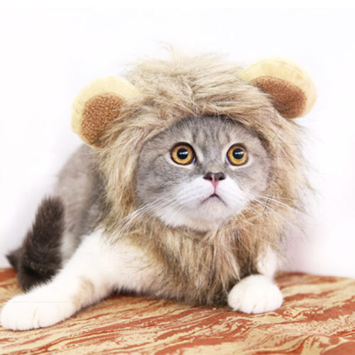Lion Mane Wig for Dogs & Cats product image Lion Mane Wig for Dogs & Cats product image