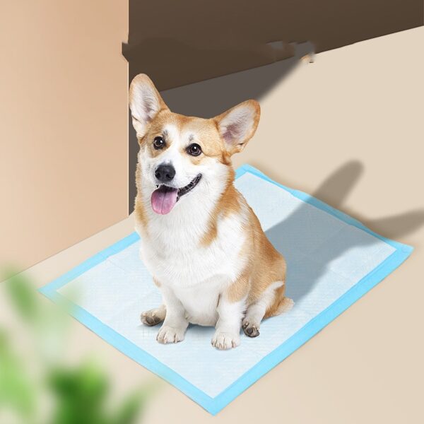 Absorbent Dog Hygiene Pads – S to 2XL product image Absorbent Dog Hygiene Pads – S to 2XL product image