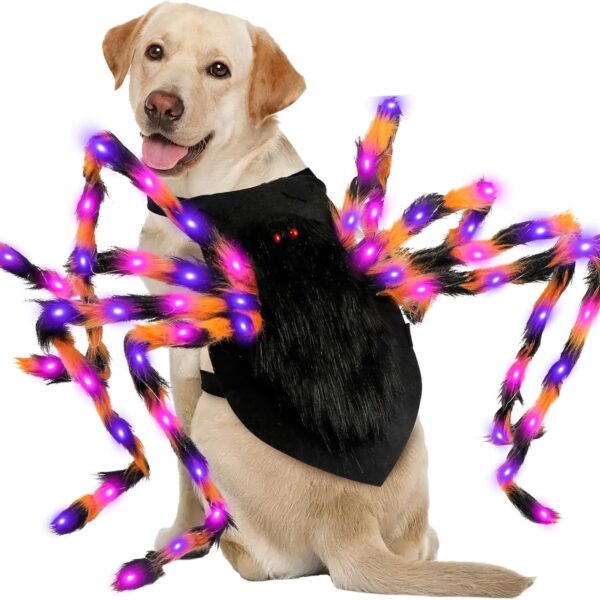 Halloween Spider Costume for Dogs & Cats product image Halloween Spider Costume for Dogs & Cats product image