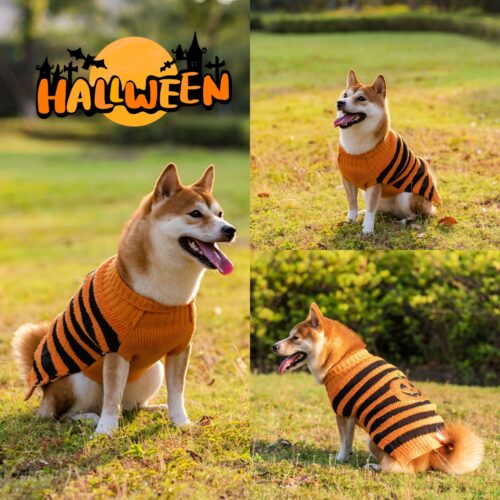 Halloween Dog Sweater product image Halloween Dog Sweater product image