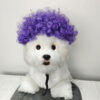 Halloween Pet Wig product image