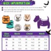 Halloween Skull & Crossbones Pet Outfit for Dogs & Cats product image