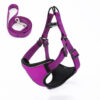 Vest-Style Dog Walking Rope Vest-Style Dog Walking Rope
