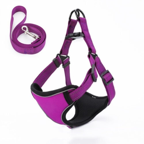 Vest-Style Dog Walking Rope Vest-Style Dog Walking Rope