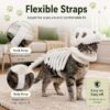 Dinosaur Skeleton Pet Costume Halloween Cat Hoodie Dinosaur Skeleton Pet Costume Halloween Cat Hoodie