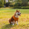 Halloween Dog Sweater product image Halloween Dog Sweater product image