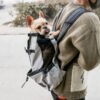 Portable Dog Backpack Carrier product image Portable Dog Backpack Carrier product image