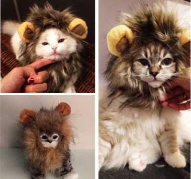 Lion Mane Wig for Dogs & Cats product image Lion Mane Wig for Dogs & Cats product image