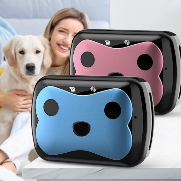 Collar for Dogs & Cats Collar for Dogs & Cats