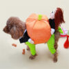 Pet Halloween Pumpkin Clothing product image Pet Halloween Pumpkin Clothing product image