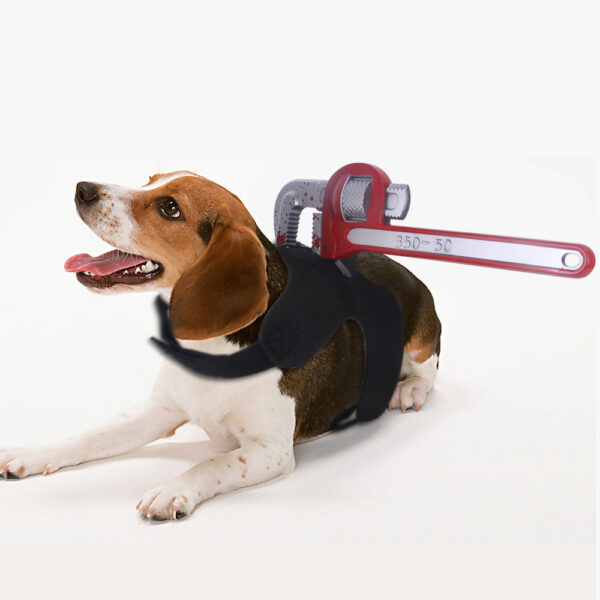 Halloween Pet Chest Costume product image Halloween Pet Chest Costume product image