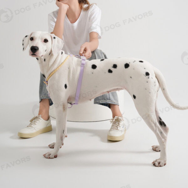 Dog Traction Vest, Collar and Rope Set product image Dog Traction Vest, Collar and Rope Set product image