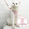 Japanese-Style Cat Chest Strap and Traction Rope