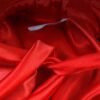 Halloween Dracula Costume for Dogs & Cats product image Halloween Dracula Costume for Dogs & Cats product image