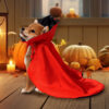 Halloween Pet Cloak Halloween Pet Cloak