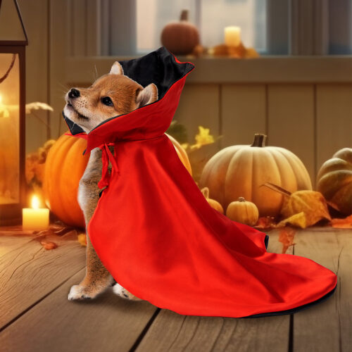 Halloween Pet Cloak Halloween Pet Cloak