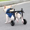 Pet Dog Wheelchair Scooter – Blue | XS, S & M product image