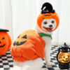 Halloween Pumpkin Costume for Dogs & Cats product image Halloween Pumpkin Costume for Dogs & Cats product image