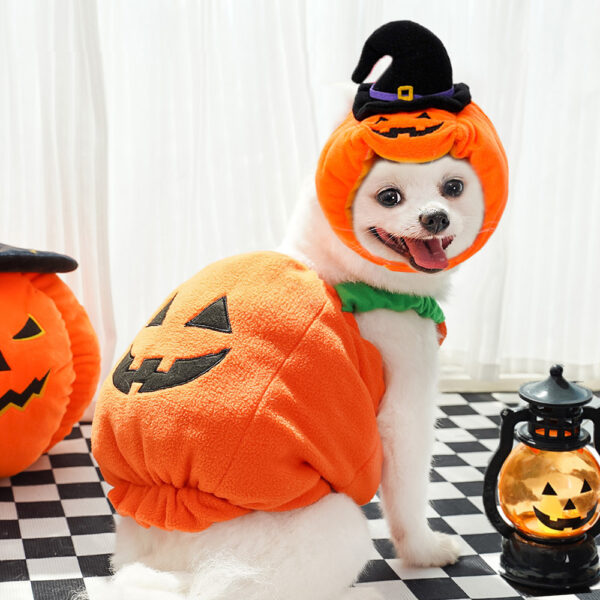 Halloween Pumpkin Costume for Dogs & Cats product image Halloween Pumpkin Costume for Dogs & Cats product image