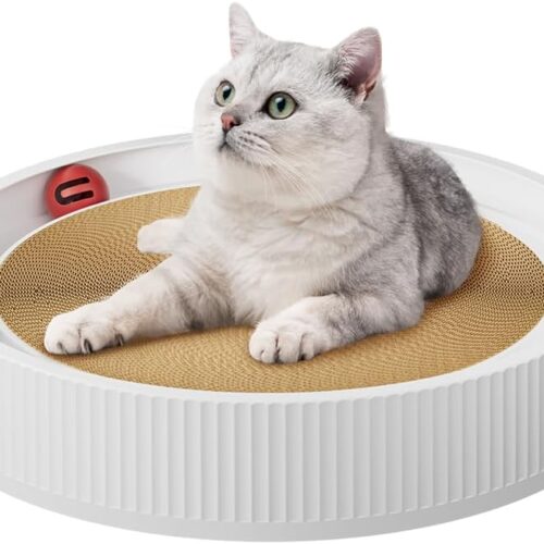 Bed for Cats Bed for Cats
