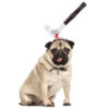 Halloween Pet Headwear product image Halloween Pet Headwear product image