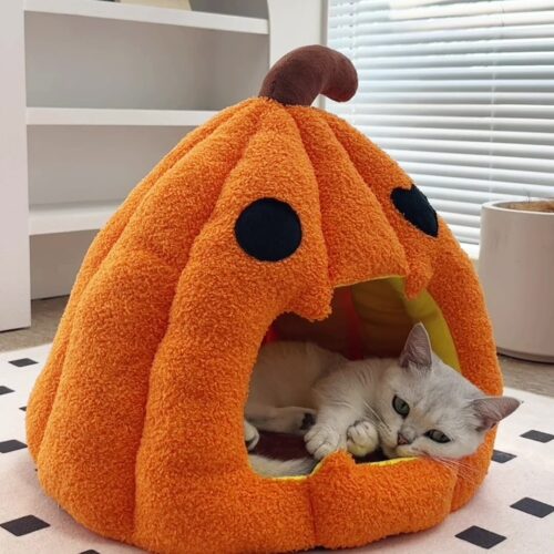 Halloween Pumpkin Pet Bed for Dogs & Cats Halloween Pumpkin Pet Bed for Dogs & Cats