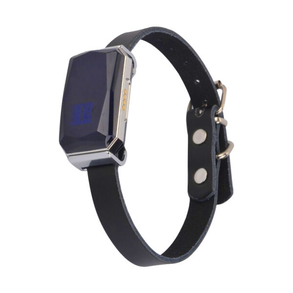 G12 Pet Navigator Locator product image G12 Pet Navigator Locator product image