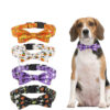 Halloween Dog Collar