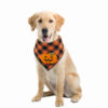 Halloween Pumpkin Bandana for Dogs product image