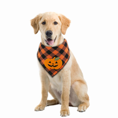 Halloween Pumpkin Bandana for Dogs product image Halloween Pumpkin Bandana for Dogs product image