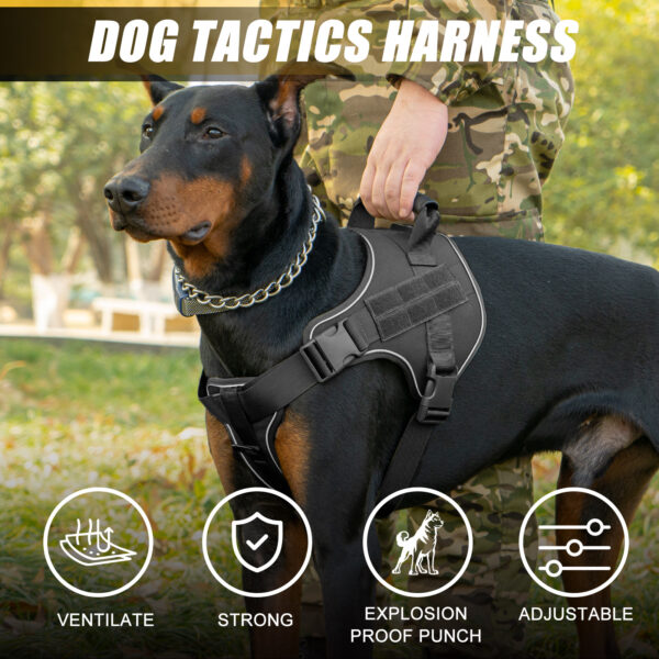 Tactical Dog Harness, Leash and Collar Set