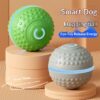 Silicone Rolling Ball Toy for Dogs