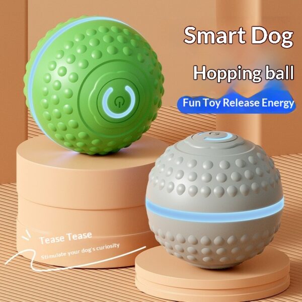 Silicone Rolling Ball Toy for Dogs