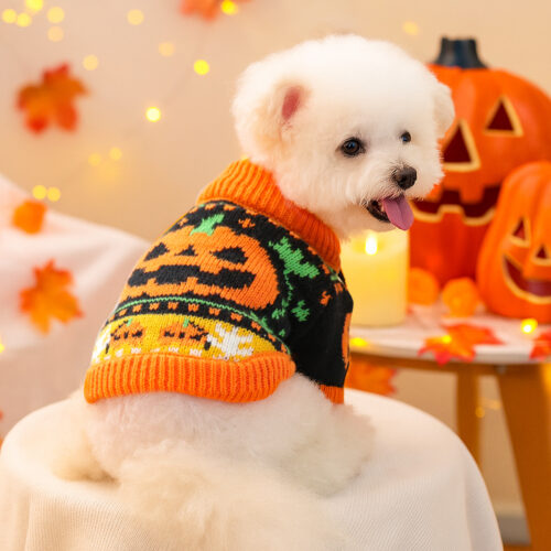 Halloween Outfit for Dogs Halloween Outfit for Dogs