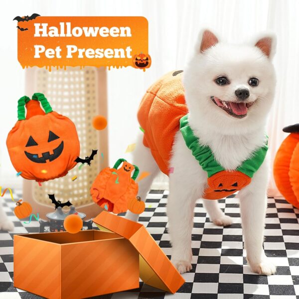 Halloween Pumpkin Costume for Dogs & Cats product image Halloween Pumpkin Costume for Dogs & Cats product image