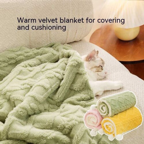Solid-Colour Pet Blanket product image Solid-Colour Pet Blanket product image