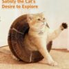 Magnetic Multi-Shape Cat Scratcher Toy product image Magnetic Multi-Shape Cat Scratcher Toy product image