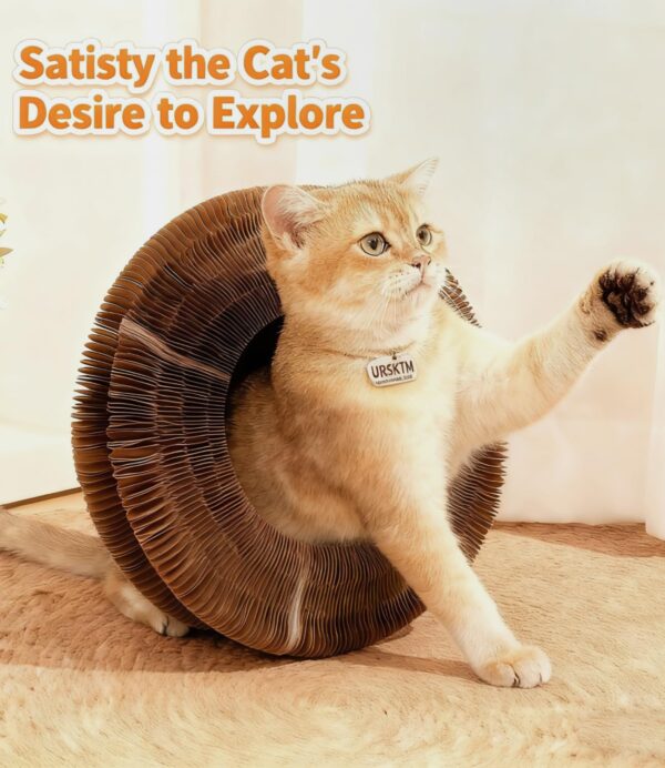 Magnetic Multi-Shape Cat Scratcher Toy product image Magnetic Multi-Shape Cat Scratcher Toy product image