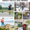Hands-Free Bungee Dog Leash Belt product image Hands-Free Bungee Dog Leash Belt product image