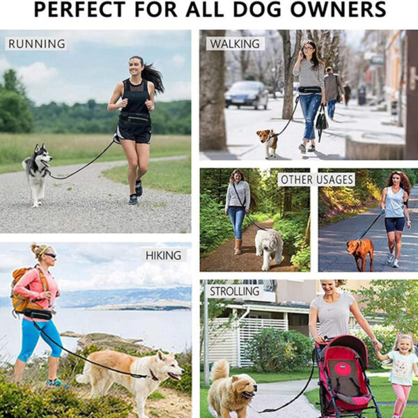 Hands-Free Bungee Dog Leash Belt product image Hands-Free Bungee Dog Leash Belt product image