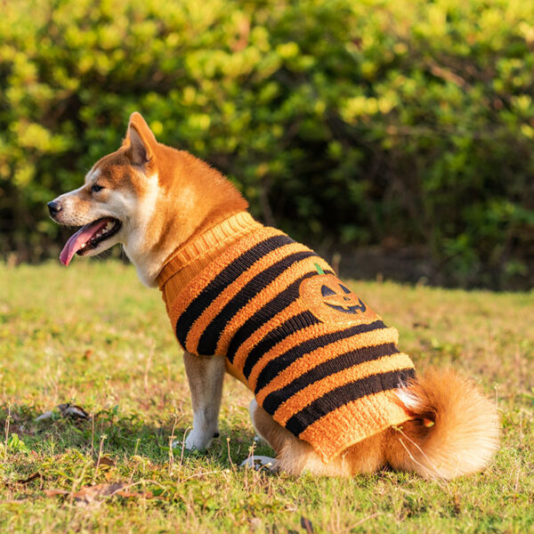 Halloween Dog Sweater product image Halloween Dog Sweater product image