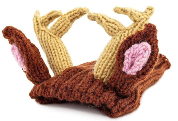 Halloween Hat for Dogs product image
