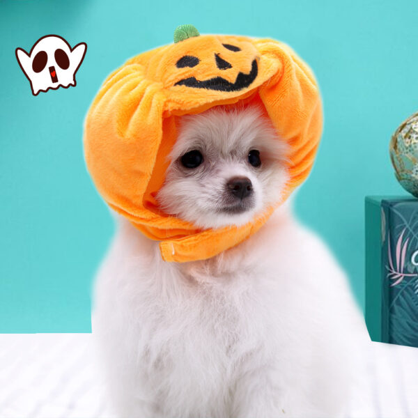 Halloween Pumpkin Pet Hat product image