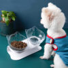 Inclined Cat Bowl with Raised Base