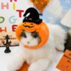 Halloween Pumpkin Costume for Dogs & Cats Halloween Pumpkin Costume for Dogs & Cats